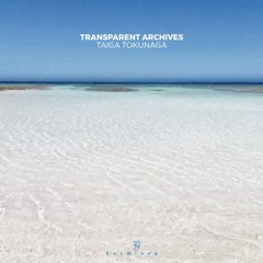 Transparent Archives