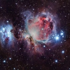2024 Orion Nebula By J - Luc Hardy