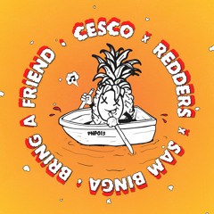 Cesco, Sam Binga & Redders - Bring A Friend - PNP015