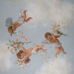 New Angel - 𝖭𝗂𝖺𝗅𝗅 𝖧𝗈𝗋𝖺𝗇