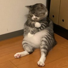 C:\users\emprss\BLISS