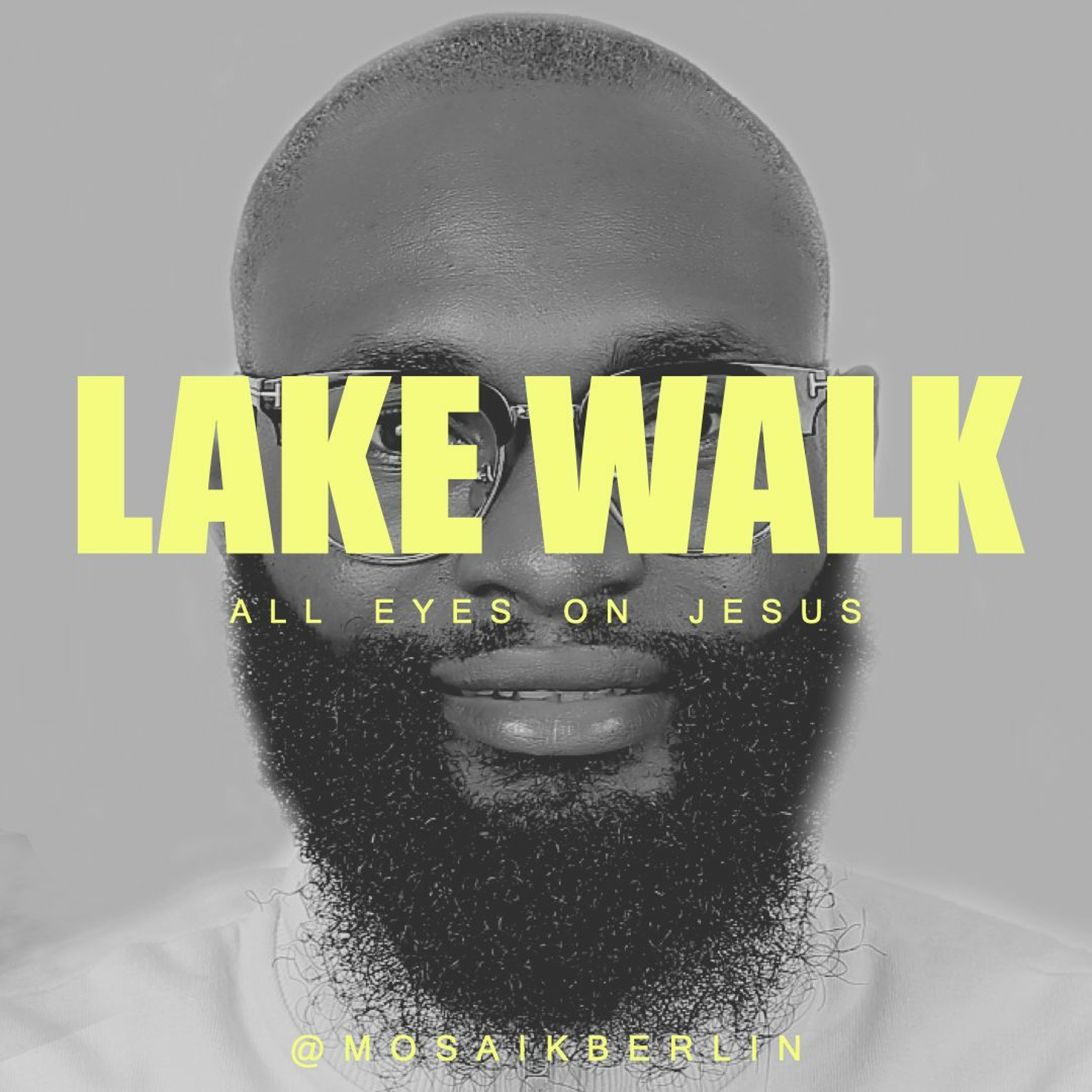 22/10/16 | Lake Walk | Dave Schnitter episode artwork