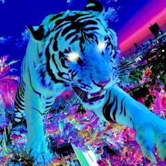 11_9 lil uzi very type beat