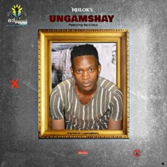 Nhlok's -Ungamshayi Feat. Sp Croco