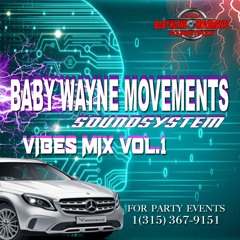 BABY WAYNE MOVEMENTS SOUNDSYSTEM VIBES MIX VOL.1