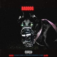 BadDog