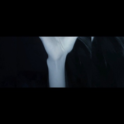 ㅤㅤ ㅤㅤ〰️