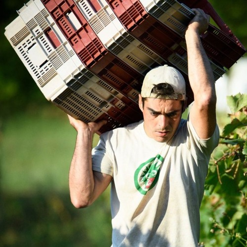 François Galeyrand - Domaine de Pacotille - L’aligoté