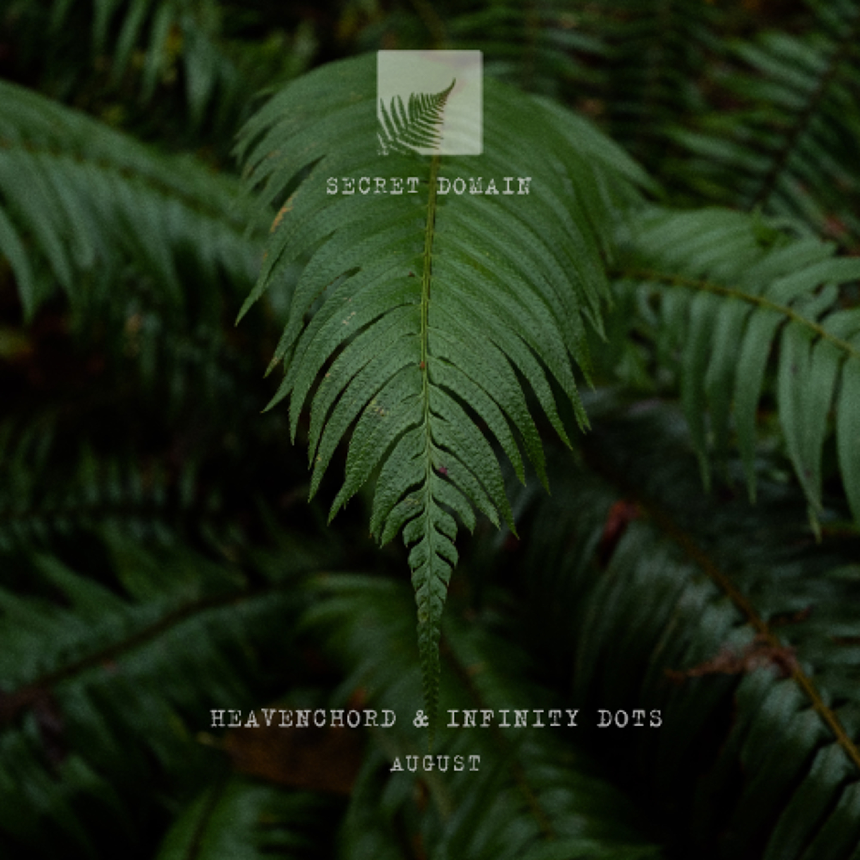 hello▼strange | secret domain | sedubtive | 20:21