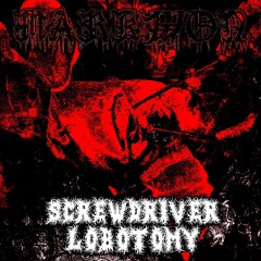 SCREWDRIVER LOBOTOMY [FREE DL]
