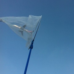 hit me where it hurts