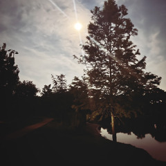 Every little bit of you (cvr) prod.TrisOlap