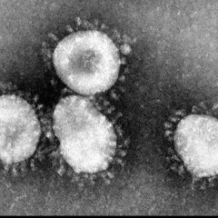 ED EDD & EDDY FT - CO$TA BANK$, LEFTIII