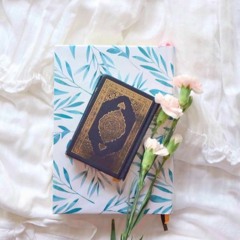 فَلَا وَرَبِّكَ لَا يُؤْمِنُونَ حَتَّىٰ يُحَكِّمُوكَ فِيمَا شَجَرَ بَيْنَهُمْ - رضا عبدالمحسن