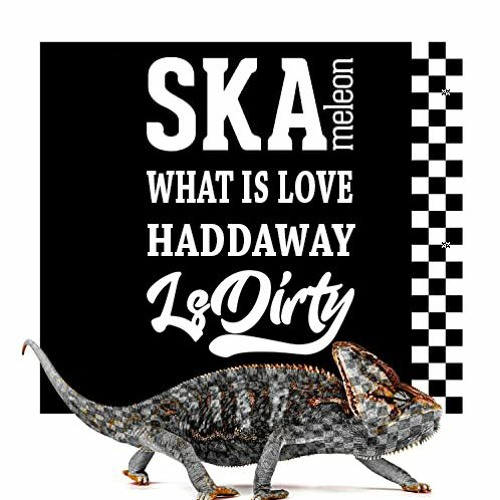 Skameleon - What Is Love - Haddaway (LsDirty Bootleg)