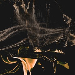 야외착란 Outdoor Delirium