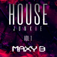 HOUSE JUNKIE VOL 1 - MAXY B