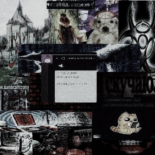 пРо6лем@ (20PrettyHusky)