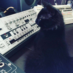 (Meowsynth) Just the Two of Us - Aou