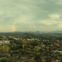 DO WHATEVER START A MILK FACTORY