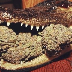 lisp een list (prod teletekst)