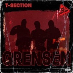 T Section - Grensen