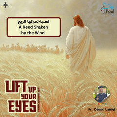 14- A Reed Shaken by the Wind - Fr Daoud Lamei قصبة تحركها الريح