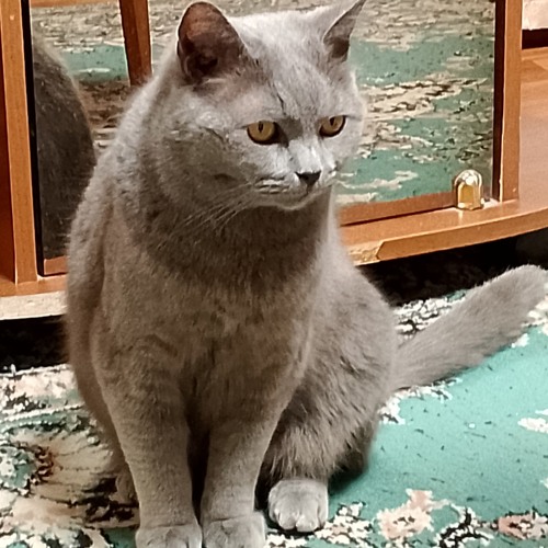 Айзек рэп интро (Produced by: Manu Productions x ‪@YaziMadeit‬)