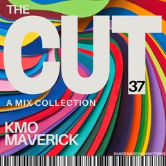 The Cut V37 | Vocal House | Soulful House | Gospel House