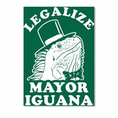 Mayor Iguana