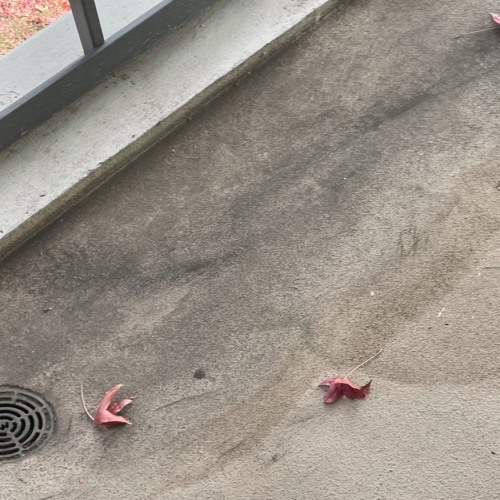 all i see is u (nxlly)