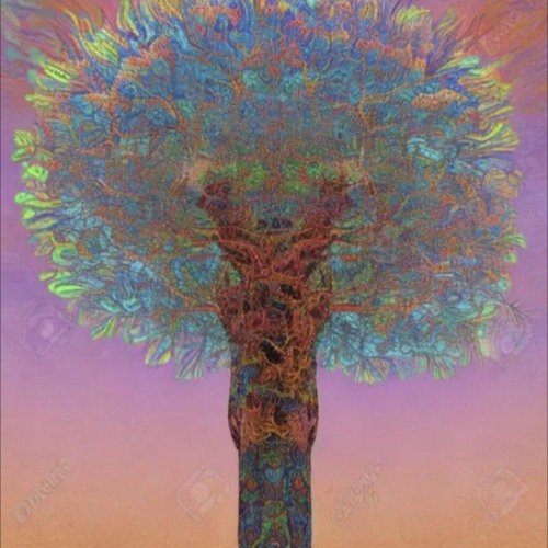 Under the Baobab Tree (with David K. A. Spencer and Mikey McFaffington)