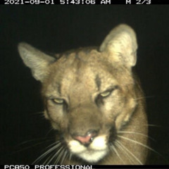 OCTOBER 18 // NO ONE ASKED SAMPLES