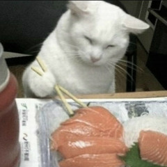 QUÉZAC & SUSHI