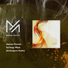 PREMIERE: Alessio Pennati - Synergy Wave [Androgyne Audio]