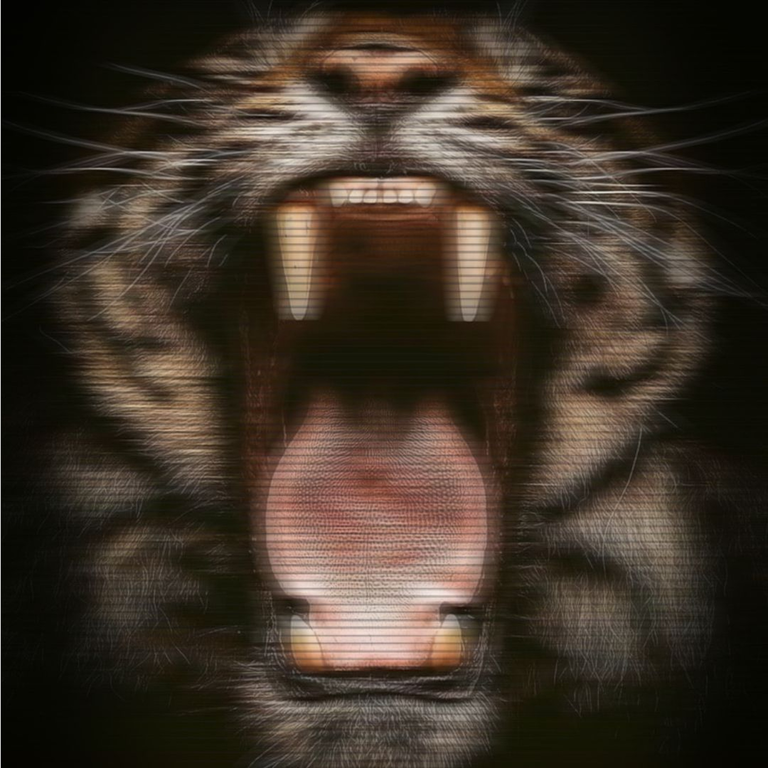 Bigger Thomas - Justice [Instrumental] episode artwork