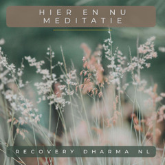 Hier en Nu meditatie
