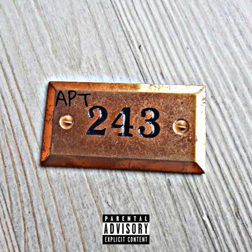 Apt. 243