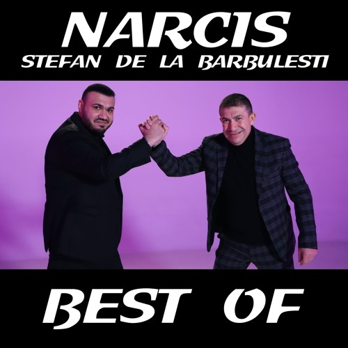 Nevasta mea (feat. Stefan De La Barbulesti)