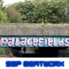 Palace fields (re master)