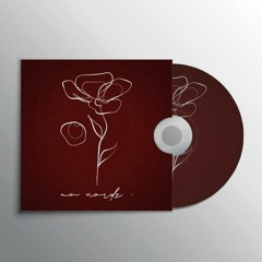 VINA FLY 001