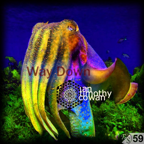 Ian Cowan - Way Down [Progressive & Tech House] [FS 59]