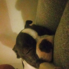 lubię z nią gadać