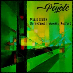 Billie Eilish - Everything I Wanted (Liquid DnB Bootleg)