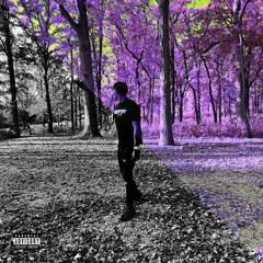 Laker (slowed + reverb)