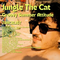 Jungle The Cat - Groovy Summer Attitude