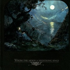 dark folk/acoustic/neofolk/