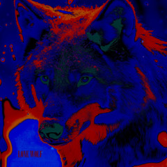 Lone Wolf