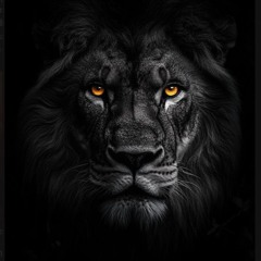 Lion final.mp3