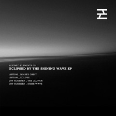 Joy Huebner - Shine Wave